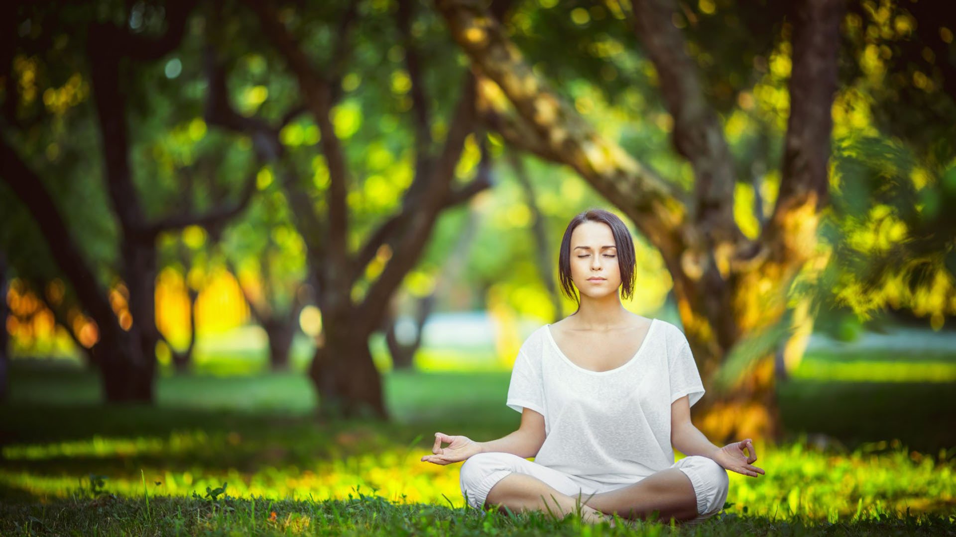 九游游戏平台-官宣、爆冷与史诗一战，曼联签约、社区盾冲刺、阿贾克斯调整与塔图姆惊世打卡